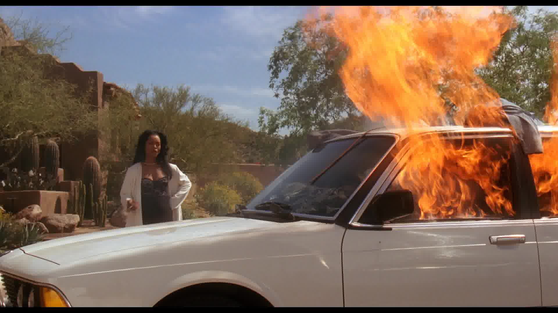 WaitingtoExhale-Caps-0320.jpg