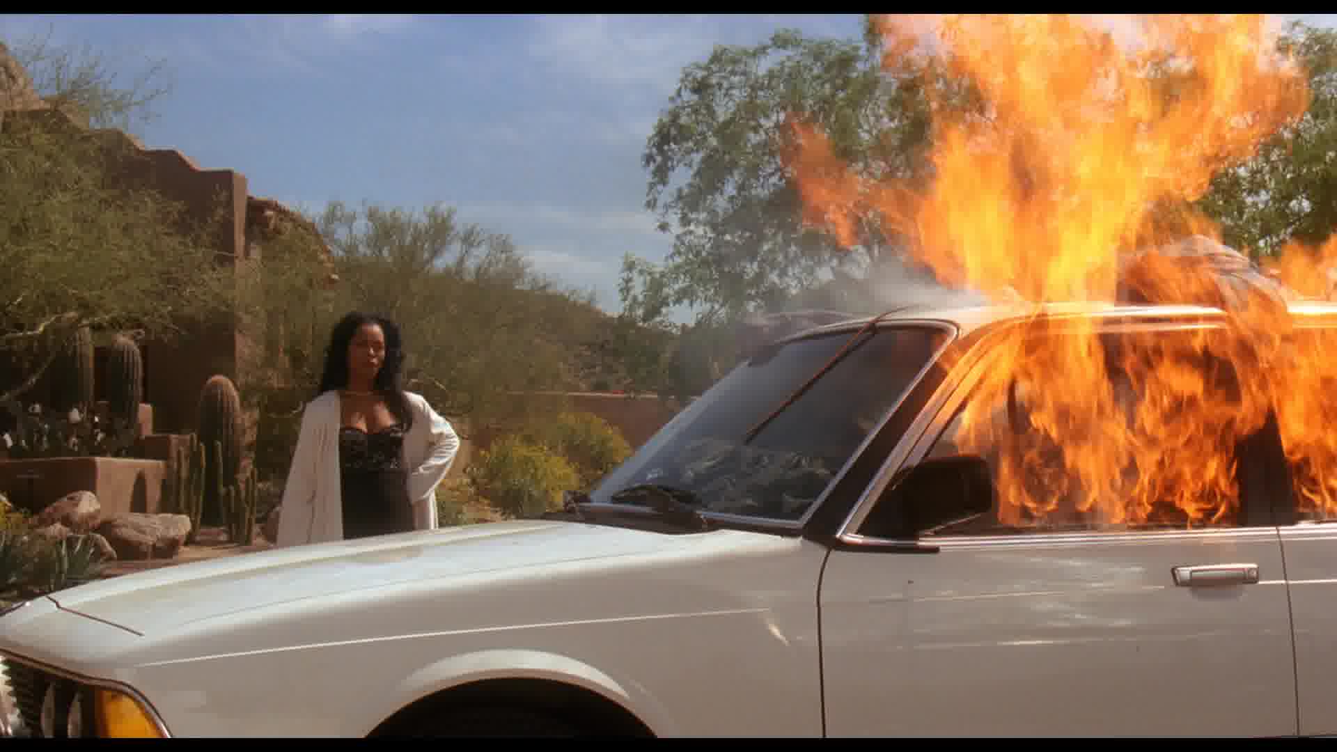 WaitingtoExhale-Caps-0321.jpg