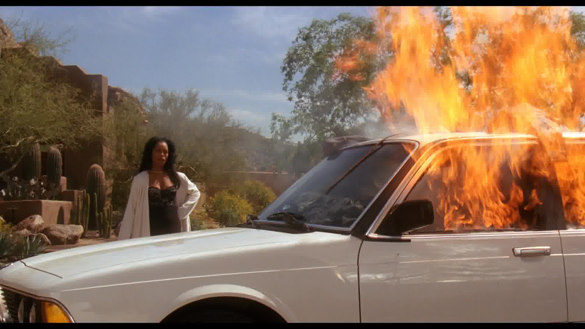 WaitingtoExhale-Caps-0322.jpg