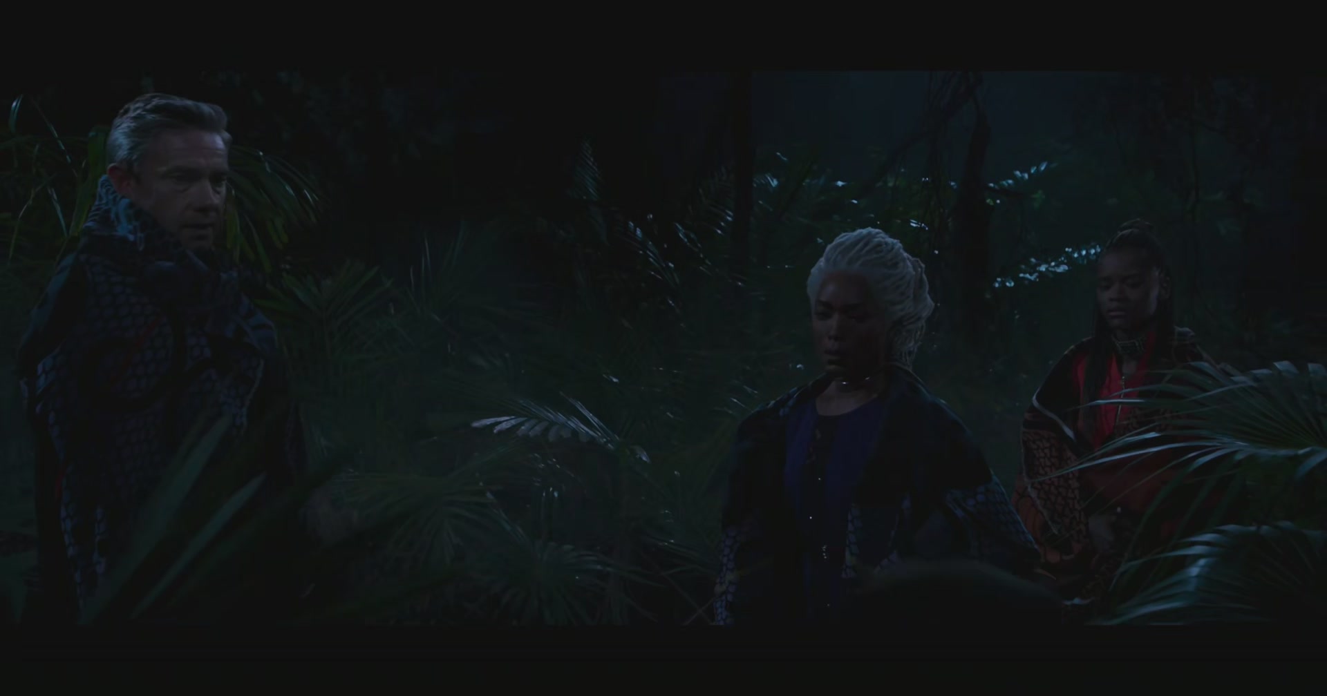 BlackPanther-Screencaps-0200.jpg