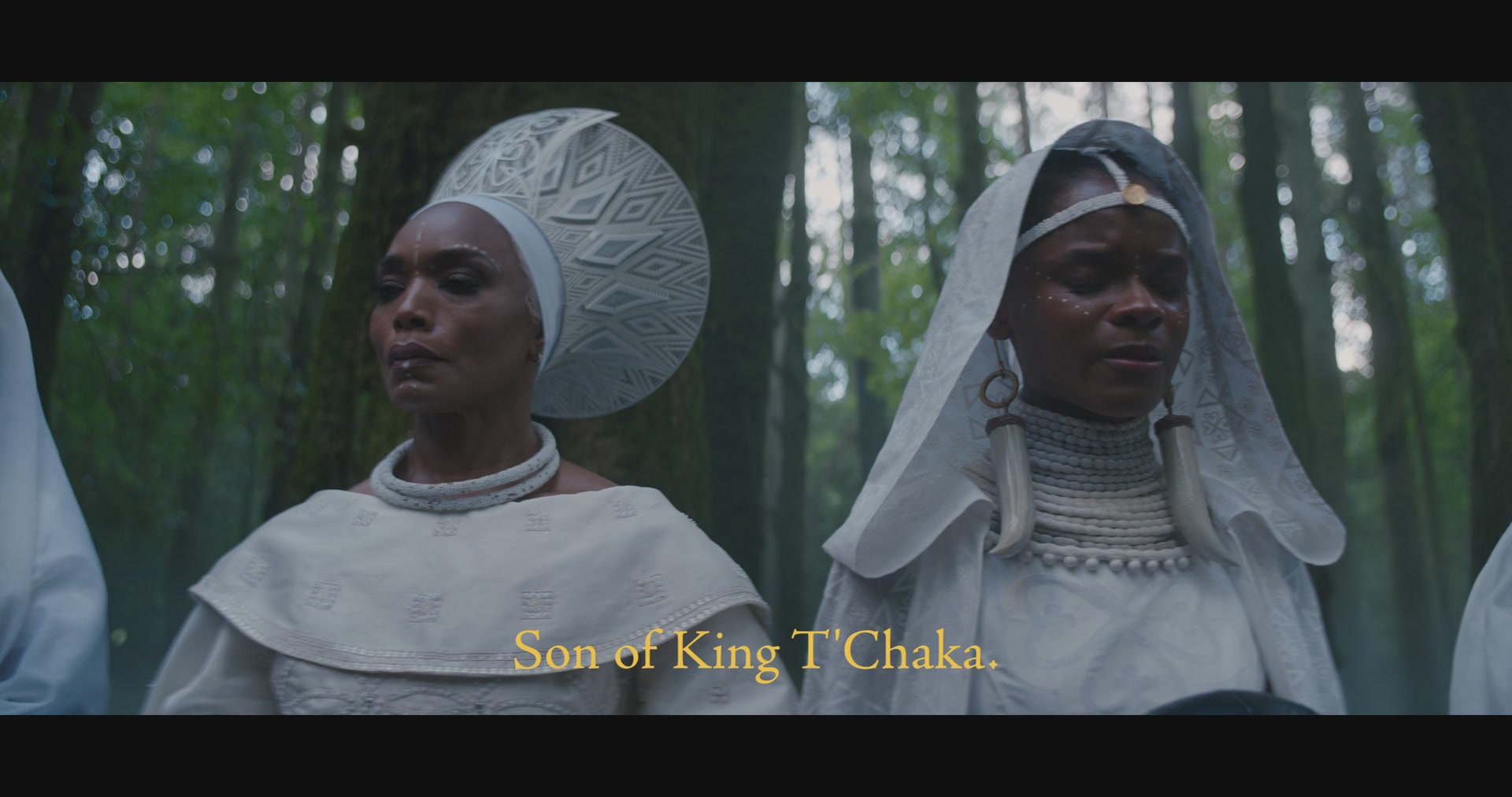 BlackPantherWakandaForever-Screencaps-0014.jpg