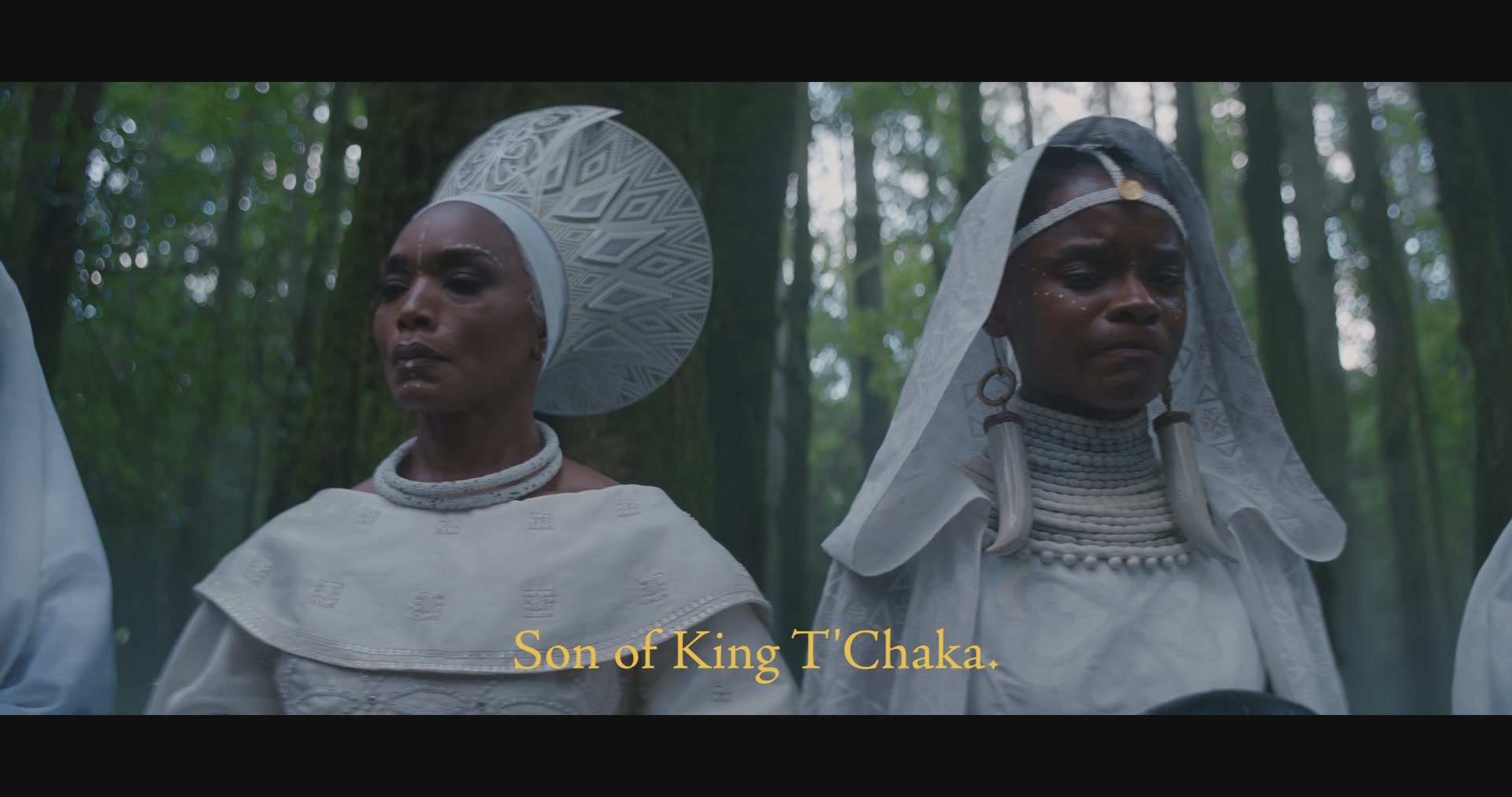 BlackPantherWakandaForever-Screencaps-0015.jpg