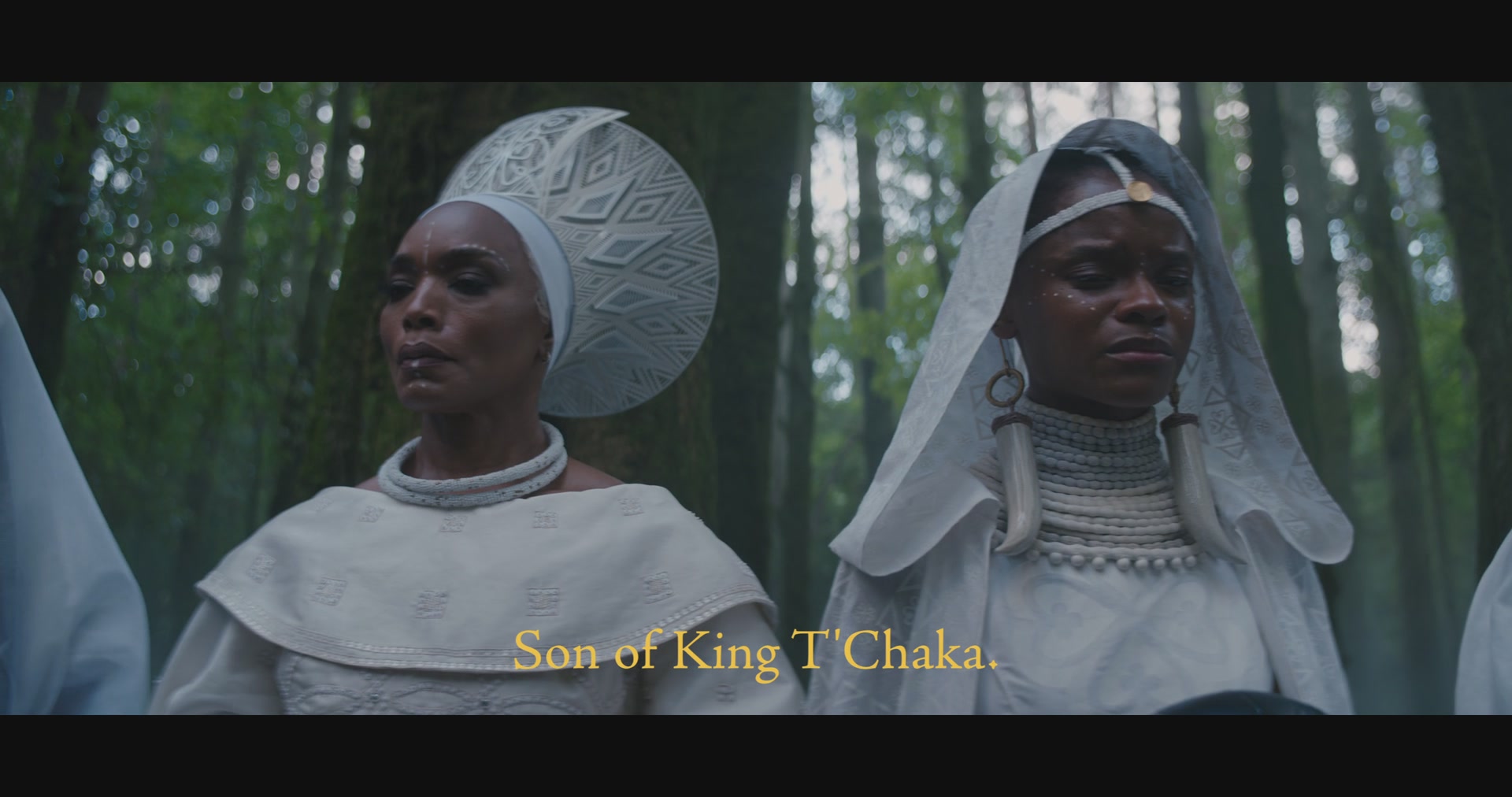 BlackPantherWakandaForever-Screencaps-0016.jpg