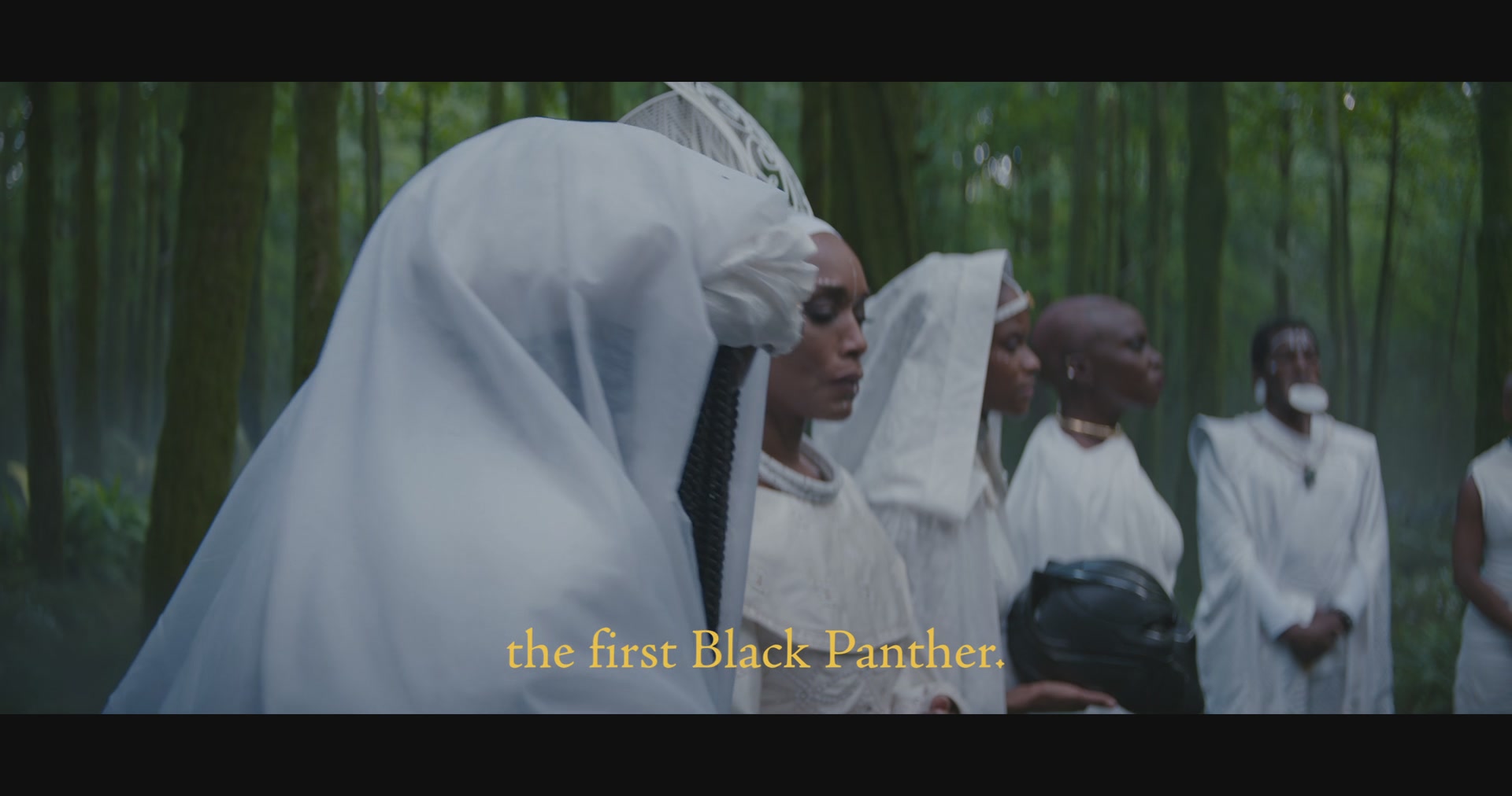 BlackPantherWakandaForever-Screencaps-0020.jpg